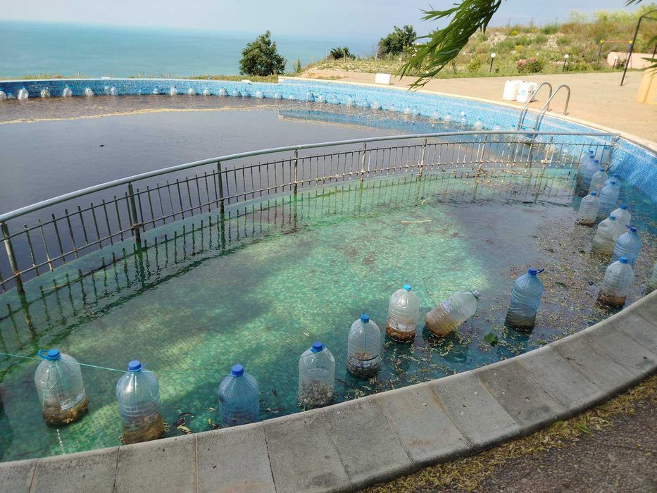 Професионално почистване и поддръжка: дом, двор, басейн, тревни площи