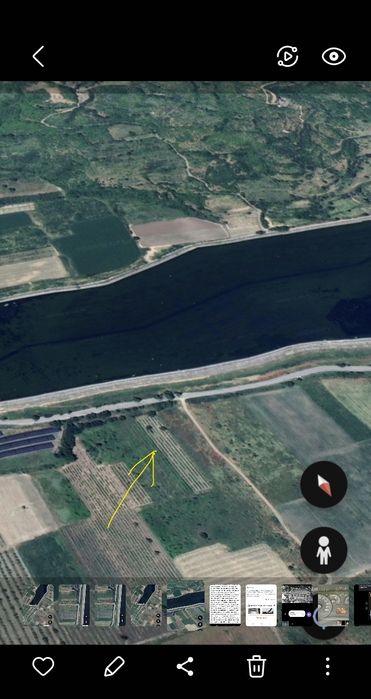 Лозе- 2,2дк. Супер ран болгар