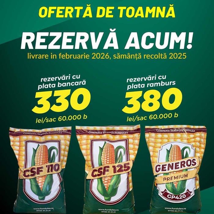 samanta porumb CSF110, fao 300, 90-100 zile. Compania Seminte Fundulea