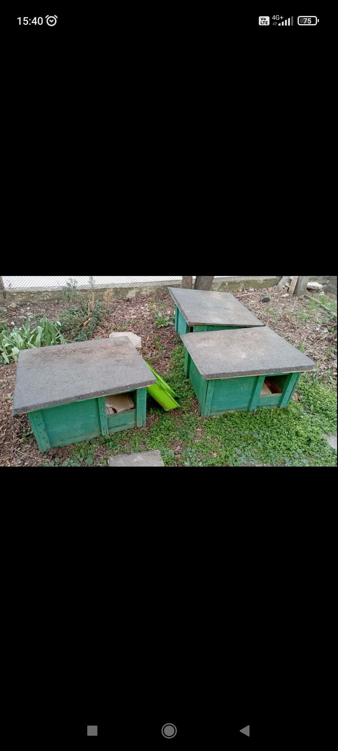 Дървени къщи за котки или кучета