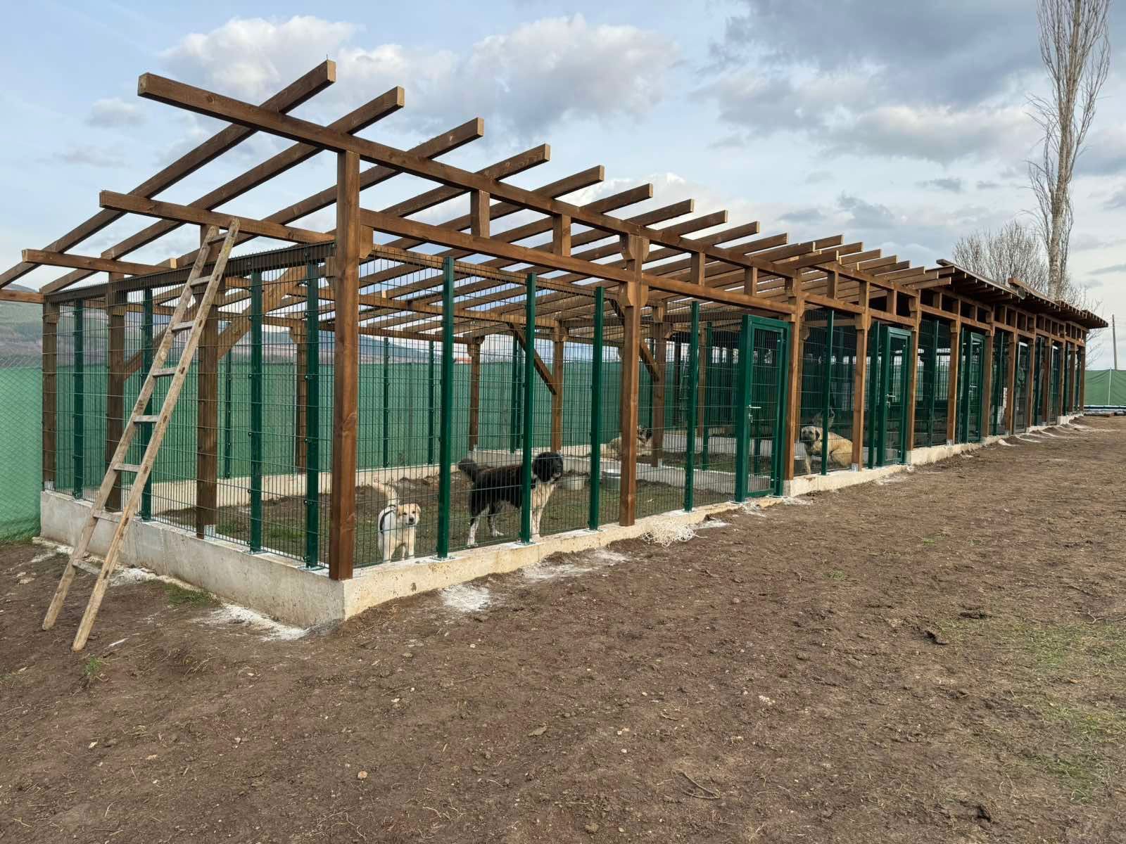 Оградни пана - 2D - 6х5х6 мм - ЗЕЛЕНИ и АНТРАЦИТ/СИВ