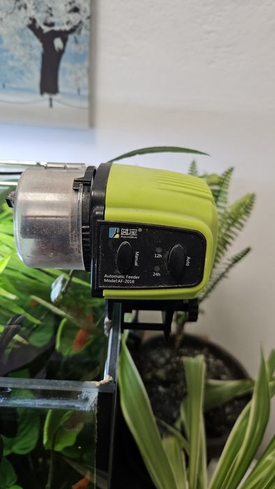 Acvariu 800x 400x 400