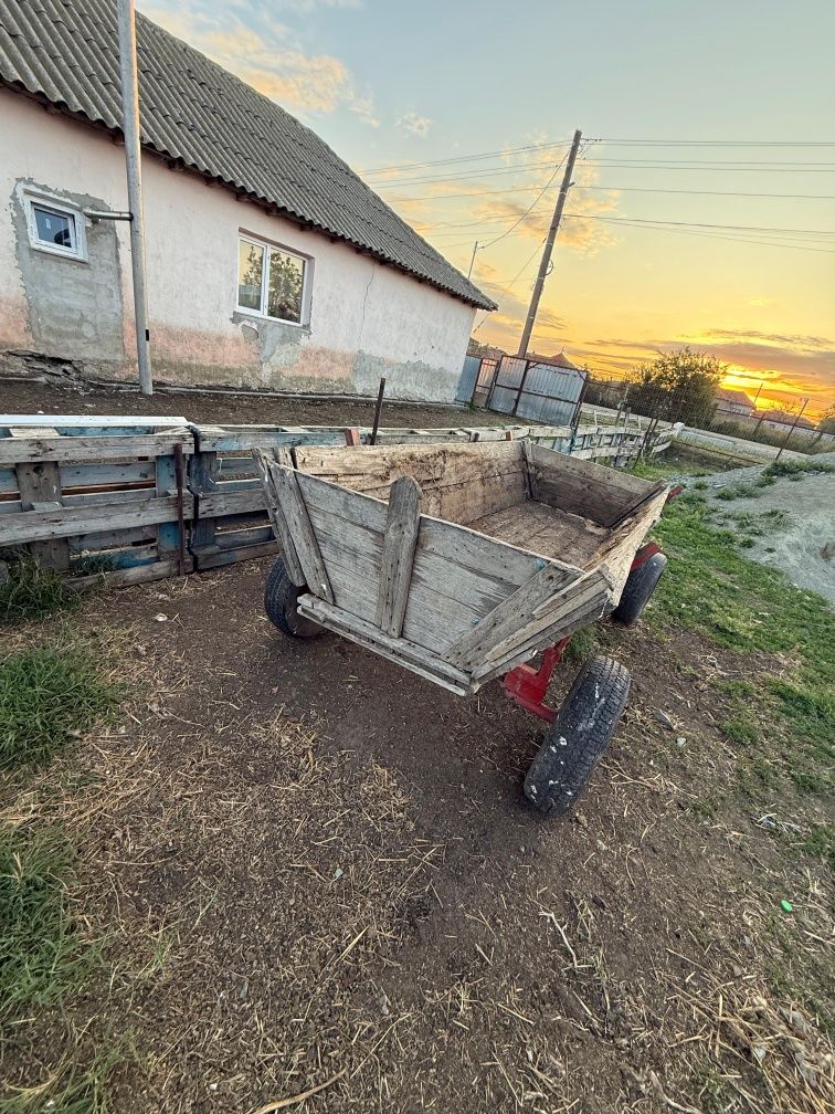 Caruta în stare buna