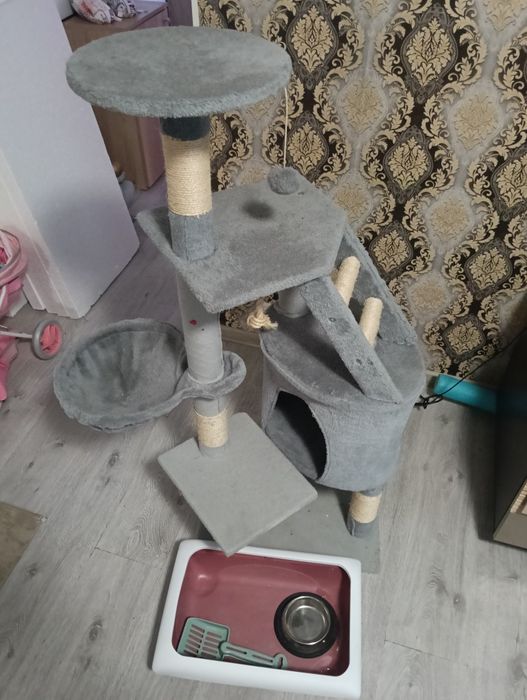 Zgârietoare pisici și litieră