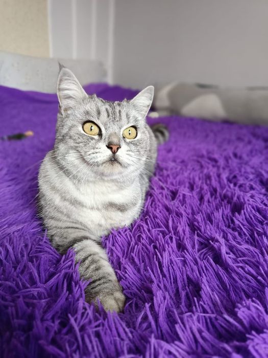 Чья потеряшка? Нашли