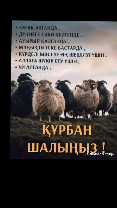 Кой,токты,козы,сек