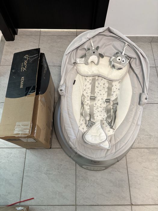 Leagan pentru bebelusi electric