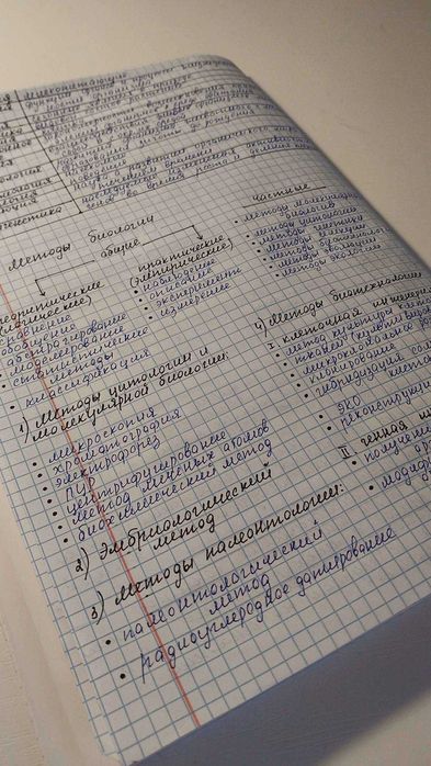 Учёба проще с нами!
Делаем конспекты и презентации быстро и в срок.