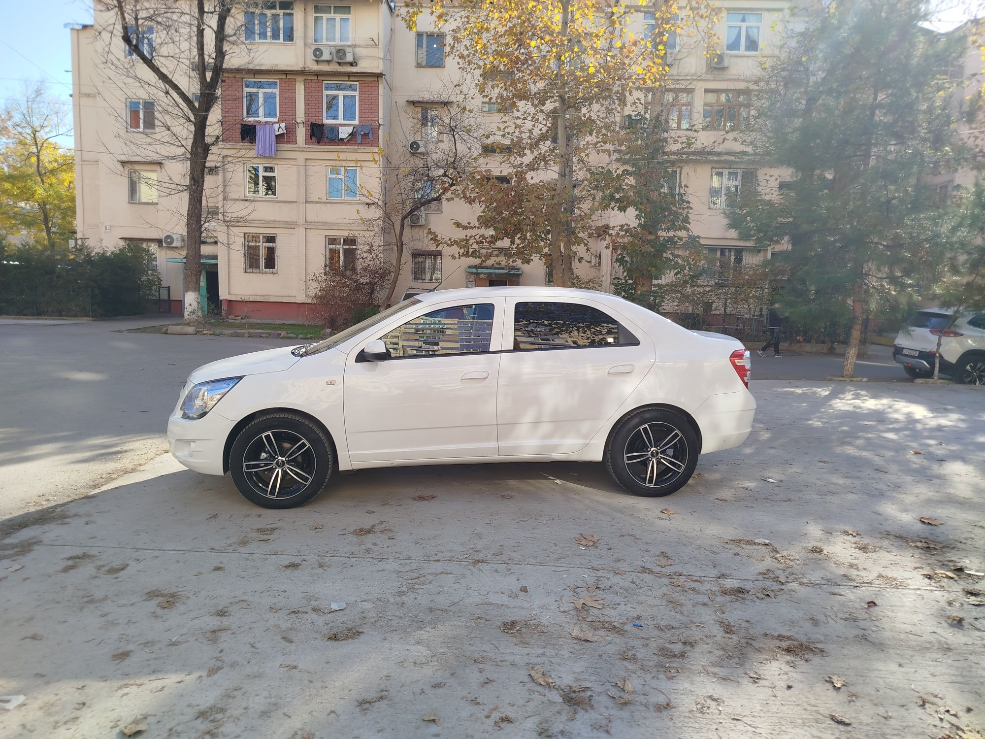 Cobalt kriditi bor 2024