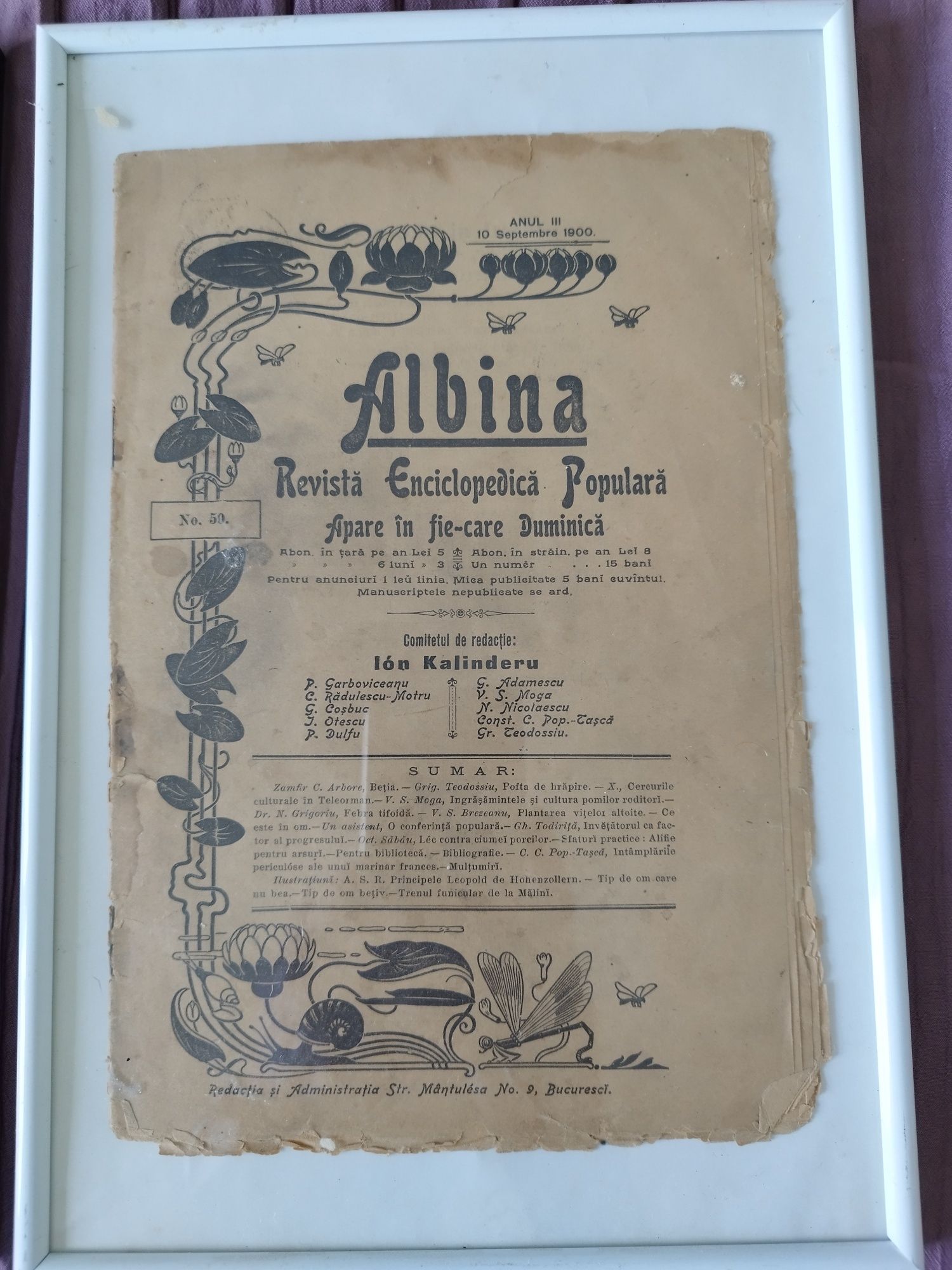 3 reviste vechi ALBINA anii 1900-1909