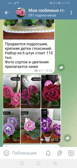 Продаётся набор сортовых деток глоксиний