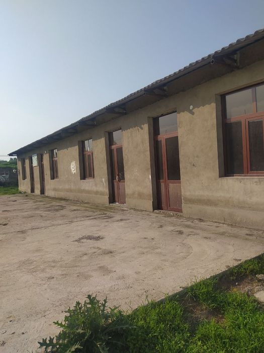 Noturar bino inshoot. Meva uchun 400 tonnalik muzlatkich bor