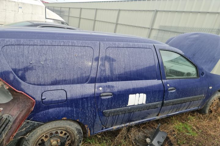 Usa / Portiera spate dreapta Dacia Logan prima generatie