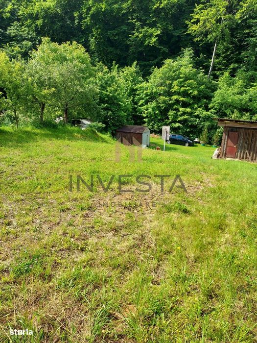 Teren la liziera padurii!