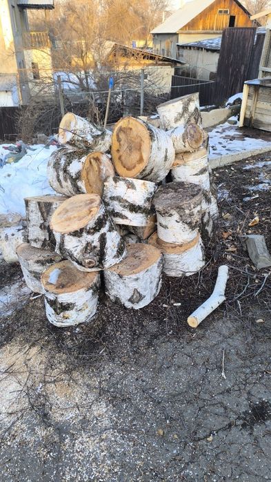 Продам дрова берёзовые.