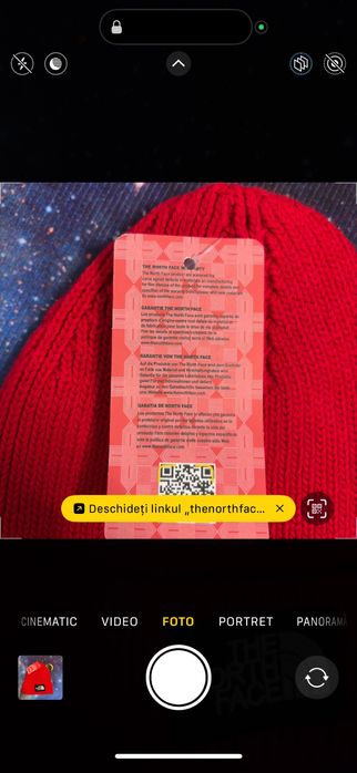 Fes caciula The North Face