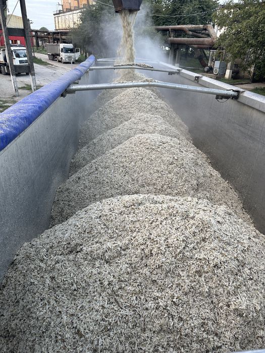 Borhot din sfecla de zahar recolta 2025