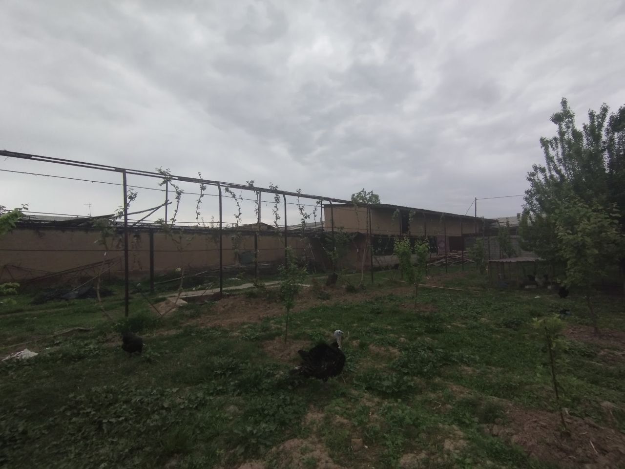 Yer sotiladi srochna 11000$ sotigi yana kelishamiz