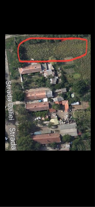 Parcelă Cerneteaz