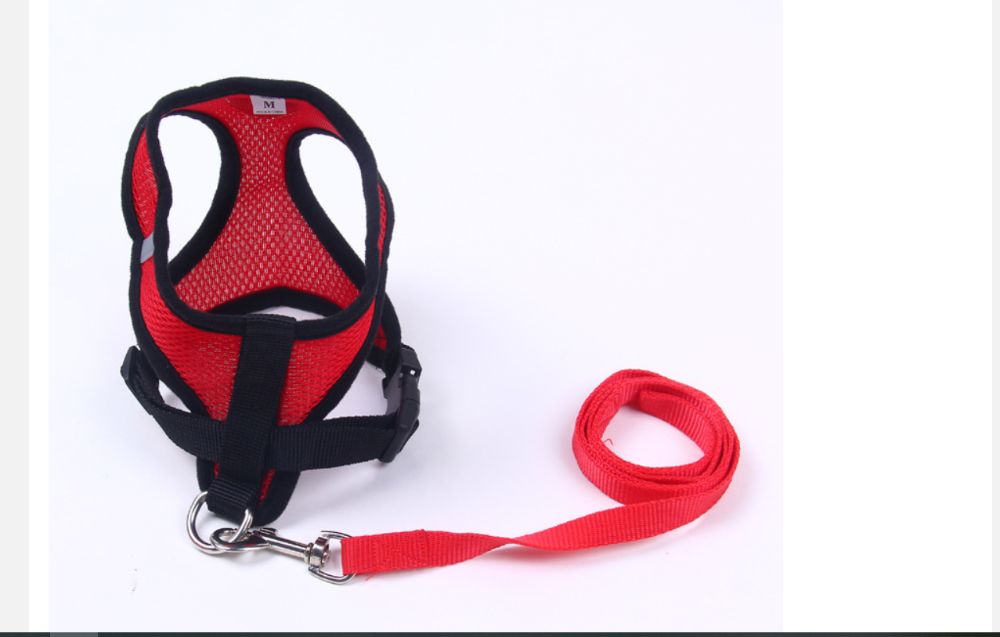 Каишка за малки кучета