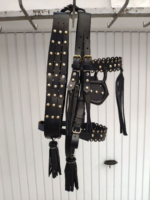 capici-cu-salba CAL/MAGAR/PONEI | set premium ... ⟣GARANTIE ⁴⁸