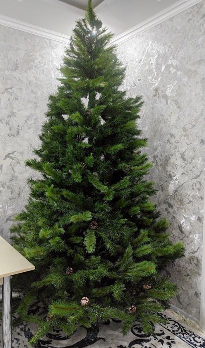 Елка пышная , высокая