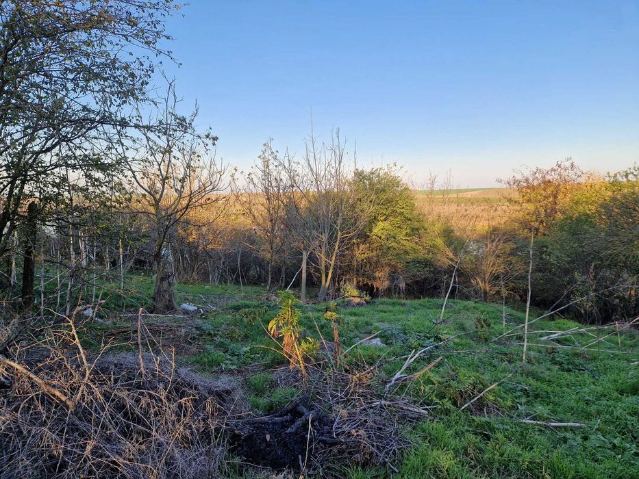 Refugiu la 1h de Bucuresti - 60m deschidere la apa, casa sau glamping