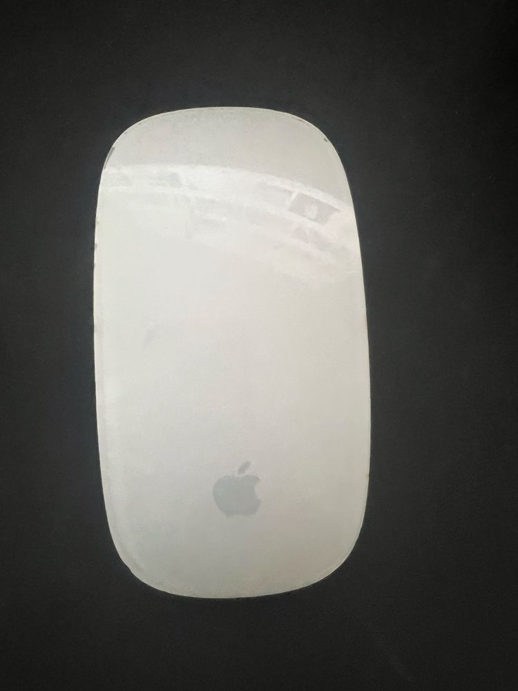 Apple magic mouse