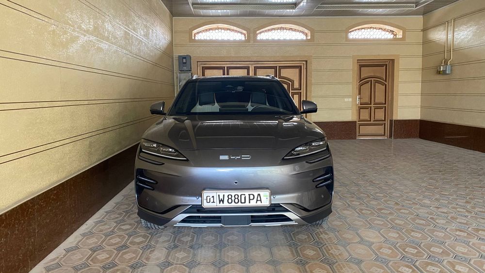 BYD. Чинпийон. . 605.