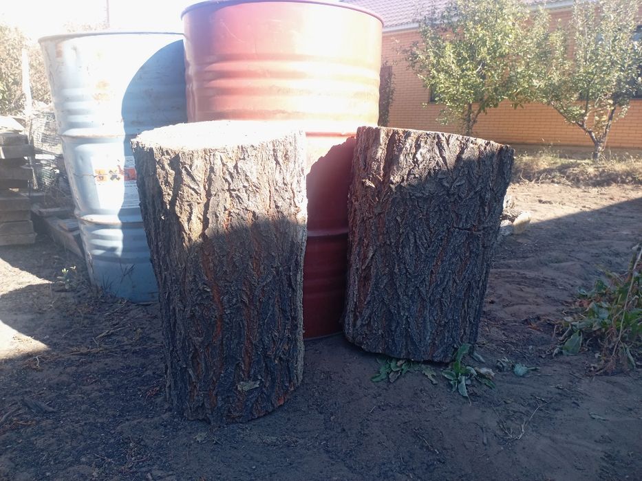 Продам колоды, чурки для рубки мяса (костей).Ет-суйек шабатын жангырык