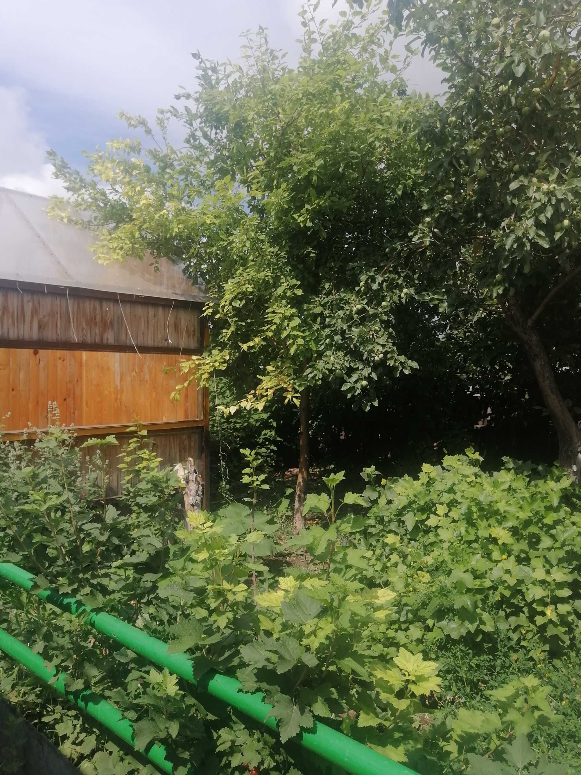 Дом Село Зеленое