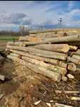 Lemn de foc - toate categoriile/rumegus