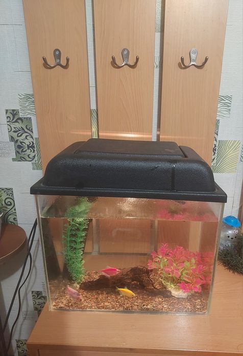 Аквариум рыбками 20литр