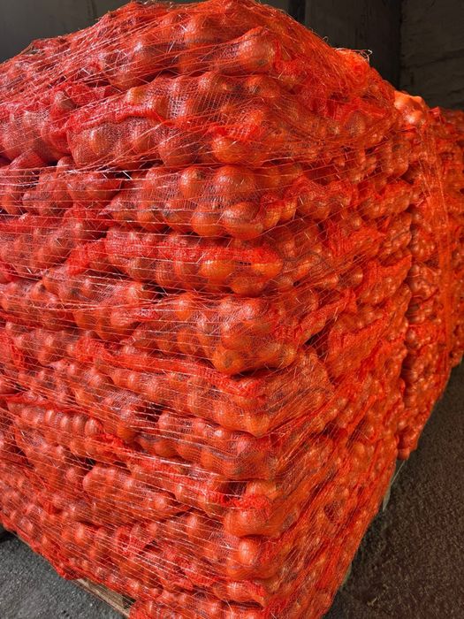 Ceapa , Cartof alb -rosu , morcovi , varza