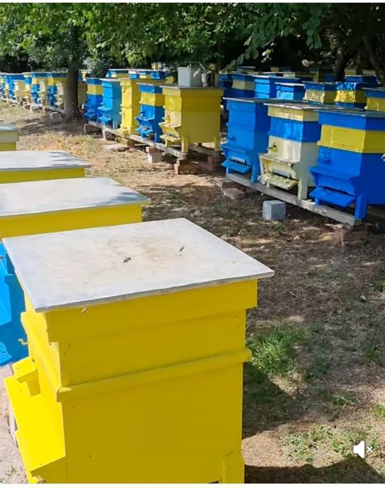 Пчелен Мед Букет 100% натурален