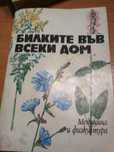 Билките във всеки дом