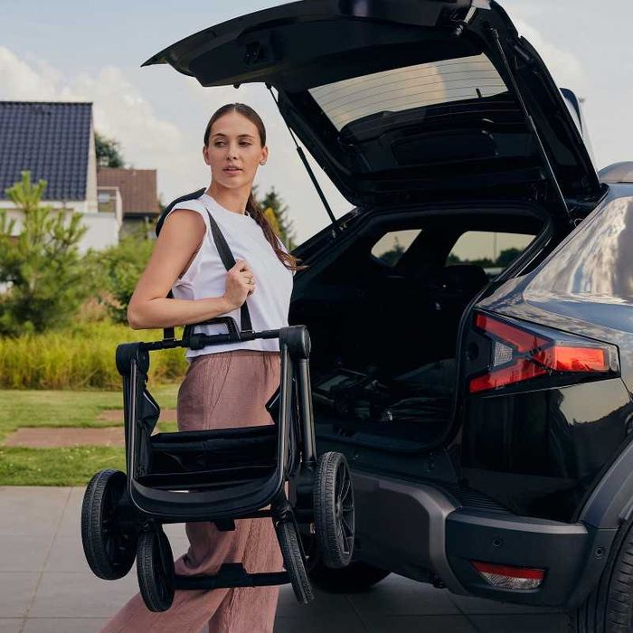 carucior Lionelo Mika Plus 2 in 1