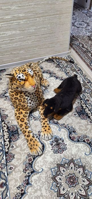 Yumshoq öyinchoqlar