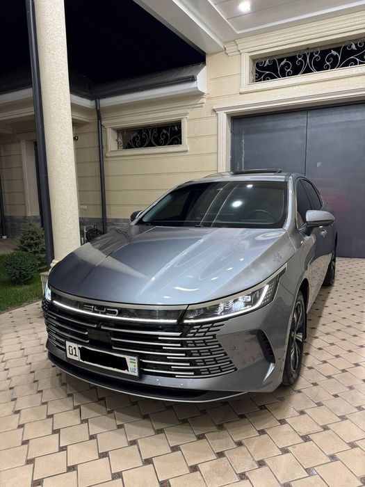 Byd chazor full 120 км