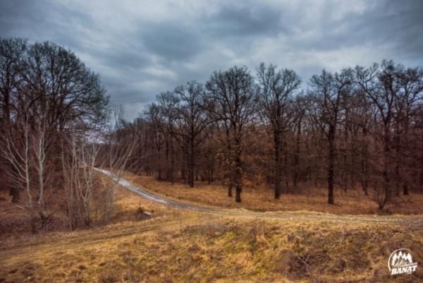 Teren extravilan arabil 2.7 ha manastirea Timseni sag Timisoara