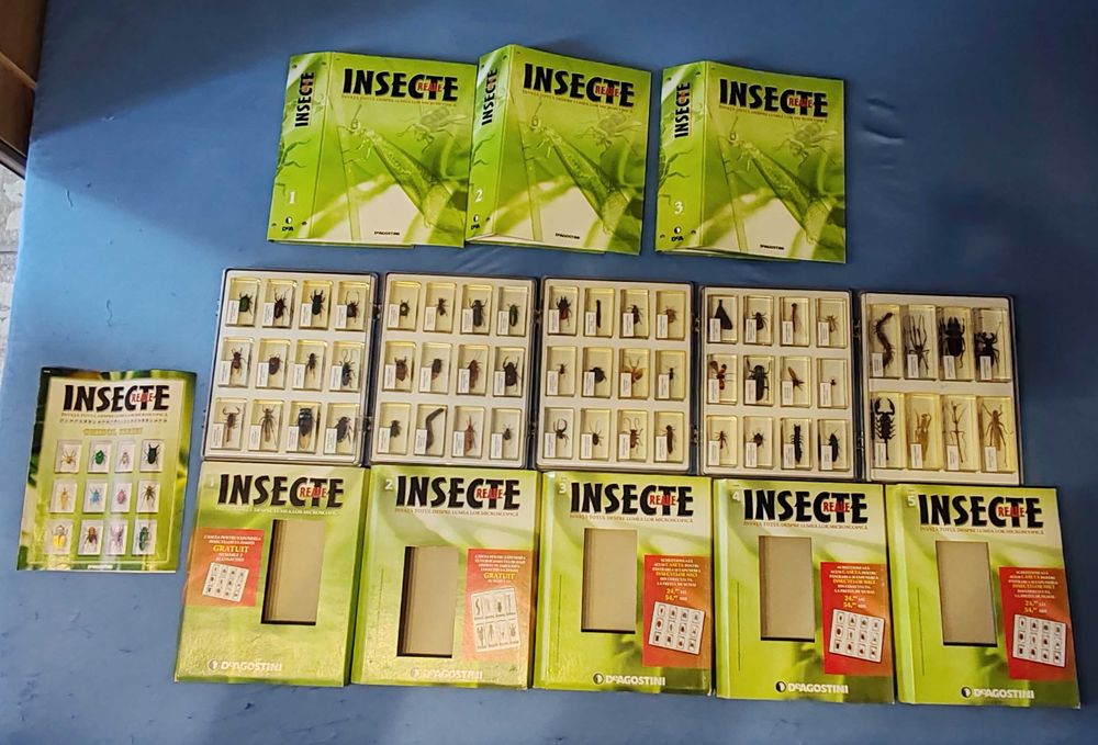 Colecția Insecte reale