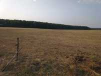 VAND ferma zootehnica