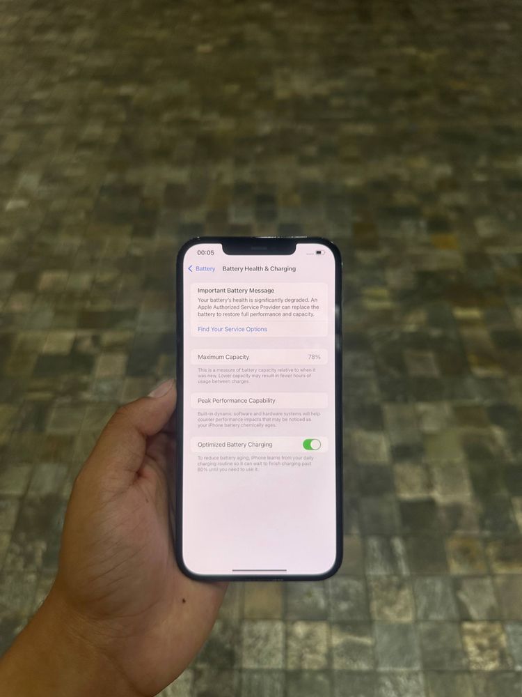 iphone 12 pro max 256 gb