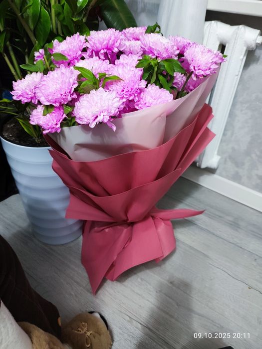 Продам цветы срочном