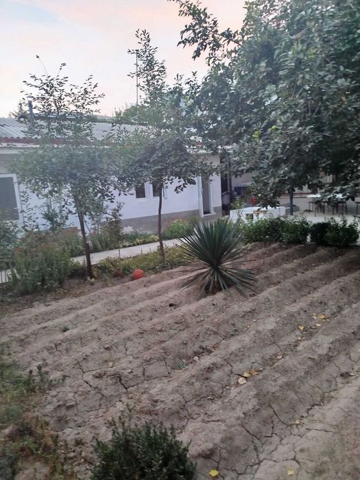 Сотилади мевазор махала 6 сот 9 хона фасад 20м, нархи 1сот 47500 у.е.