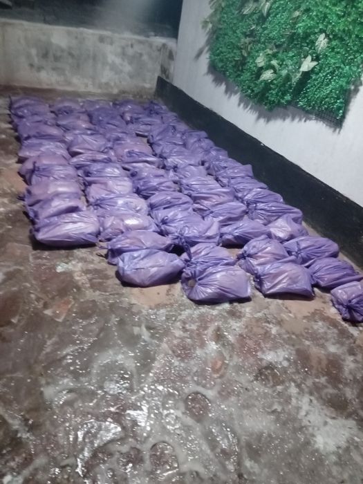 Обработка гусей ощип