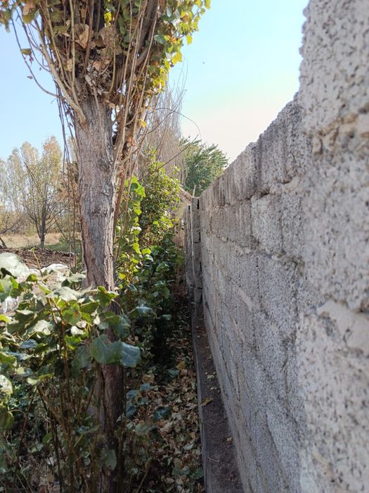 Участок 8- соток в Чиназе ,дешево