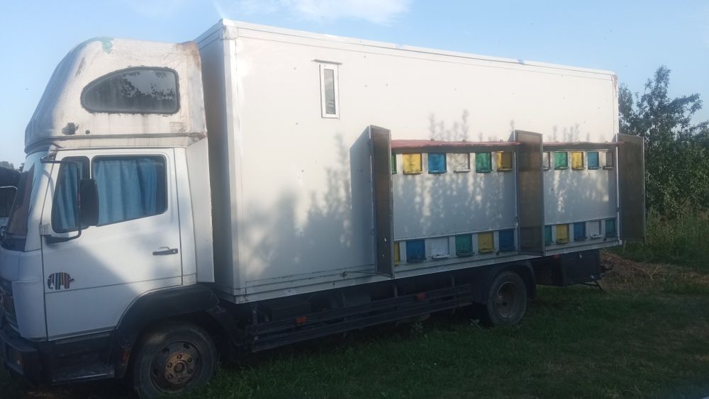 Stupina cu 48 de familii, stupi