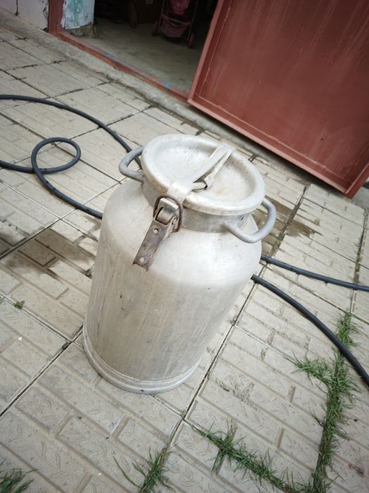 Продам флягу 25 л