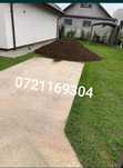 Pamant negru vegetal Nisip/Balastru NON -Stop